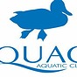 Queer Utah Aquatic Club